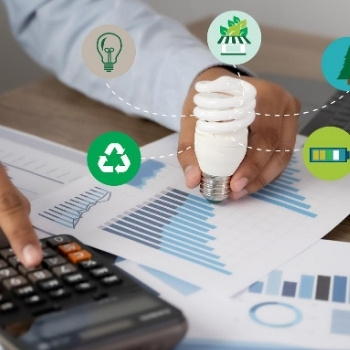 Projects consultancy
